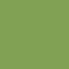 مداد رنگی پلی کروم فابر کاستل تک رنگ - earth-green-yellowish - 168