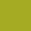 رنگ اکریلیک تالنز ( آمستردام ) سری استاندارد 120 میلی لیتر - 621 - olive-green-light
