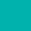 رنگ اکریلیک تالنز ( آمستردام ) سری استاندارد 120 میلی لیتر - 661 - turquoise-green