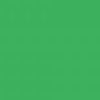 گواش فوق آرتیست شین هان - permanent-green-light - 049