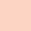 رنگ اکریلیک بیسیک لیکوئیتکس - light-portrait-pink - 810