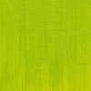 رنگ روغن آرتیست وینزور - cadmium-free-green-pale - 897