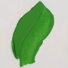 رنگ روغن ونگوگ - permanent-green-medium - 614